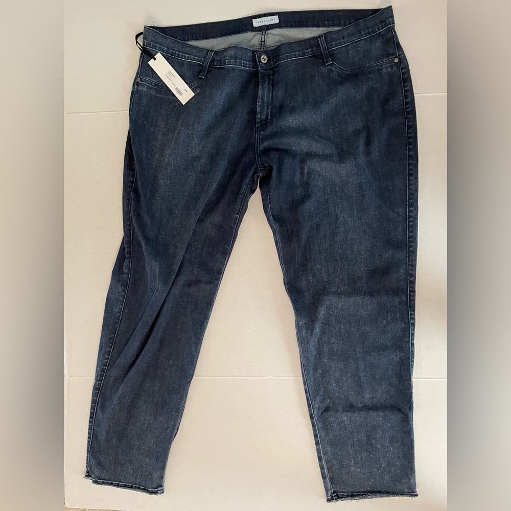 James Jeans size 22 skinny leggy high tide legging jean